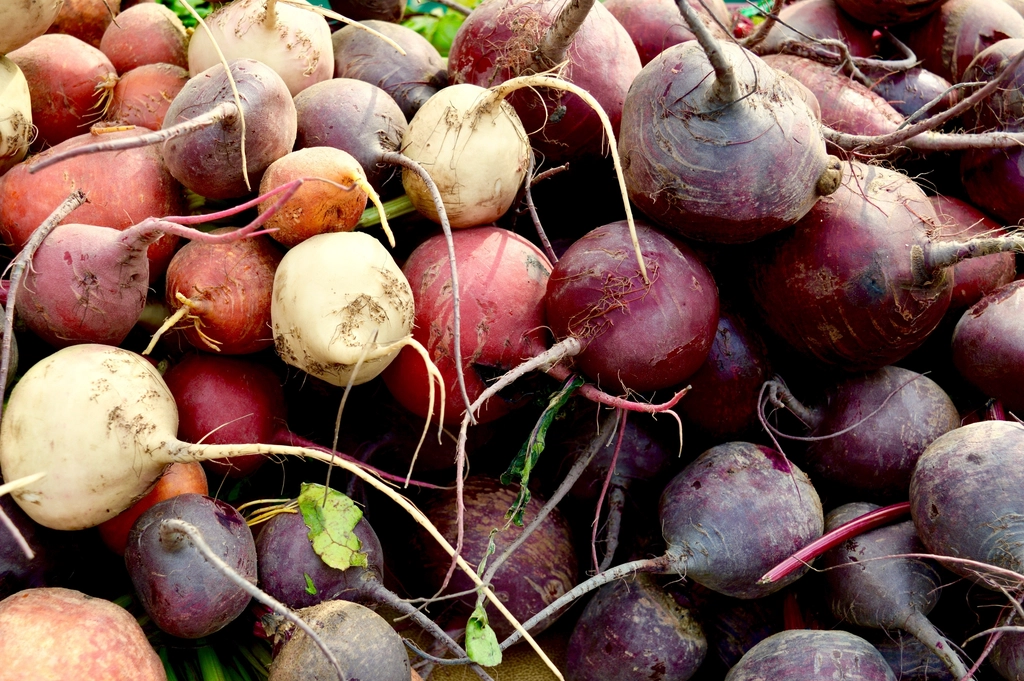 Beetroot and Dietary Nitrates, Explained Simply